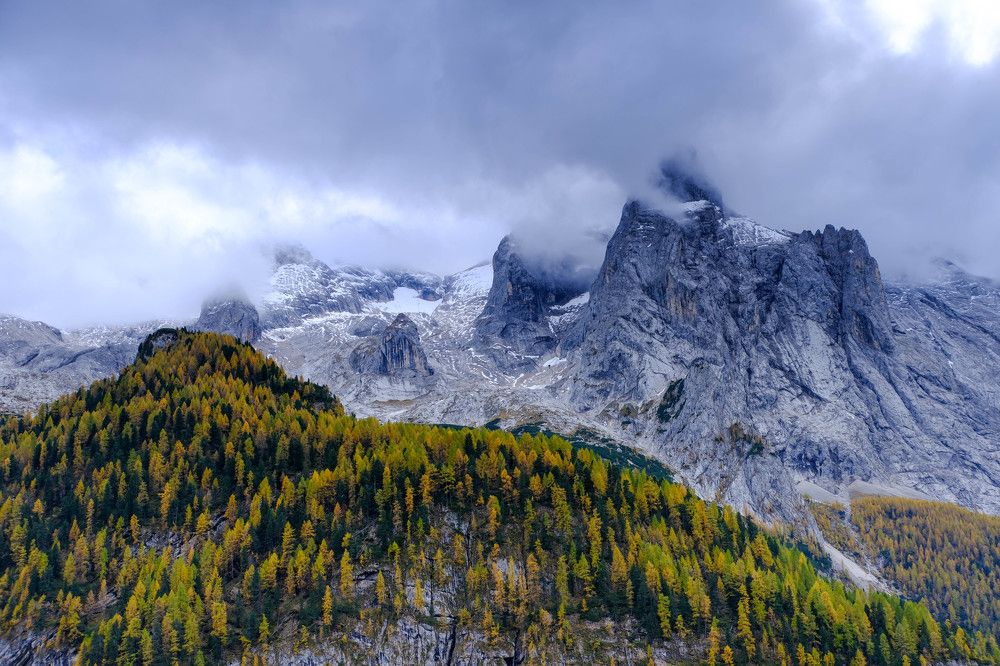 Фотография автора Dmitry