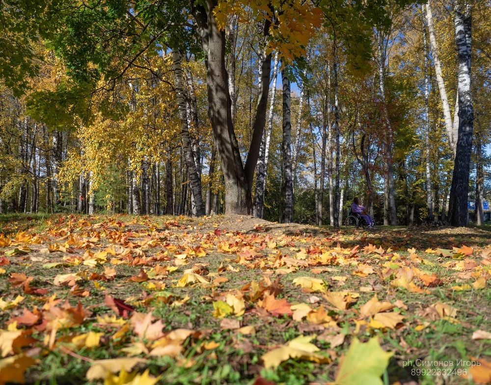 Осень