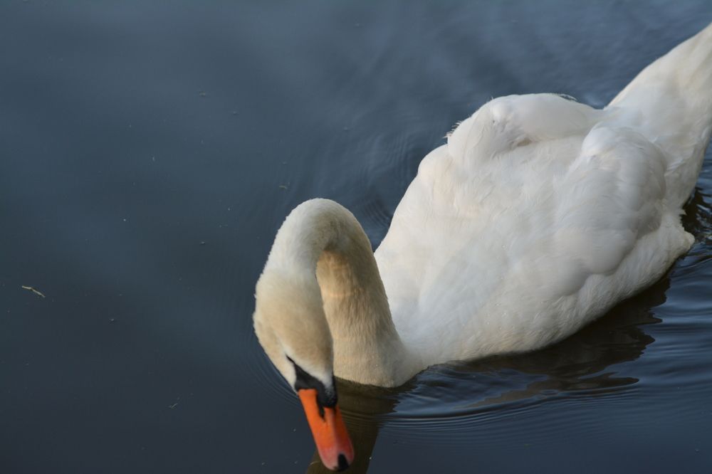 Photograph by Андрей