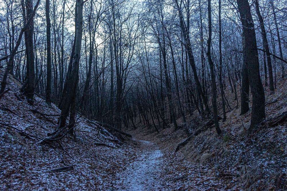 Photograph by юрий Запяткин