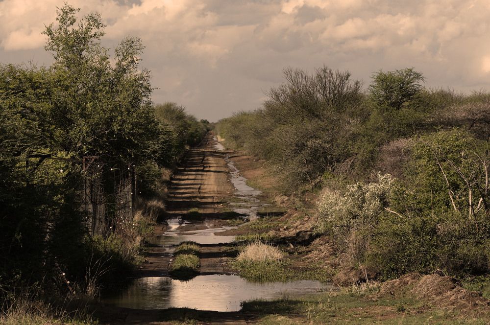 Photograph by Raed Victor Saad