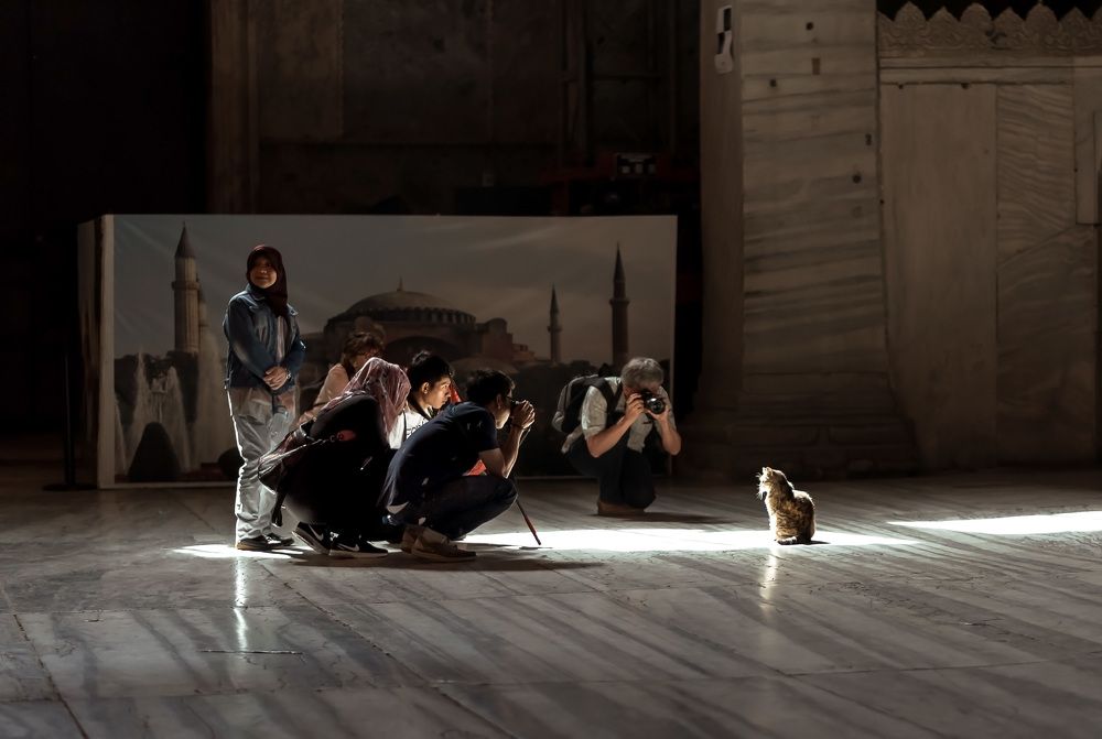 Photograph by Рагинская Ольга