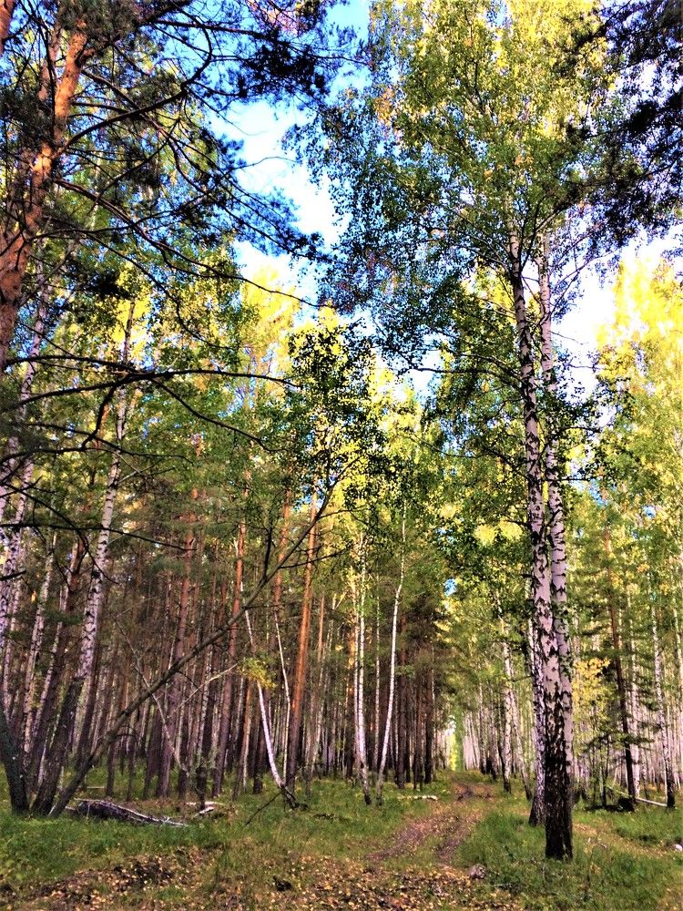 Photograph by Галина