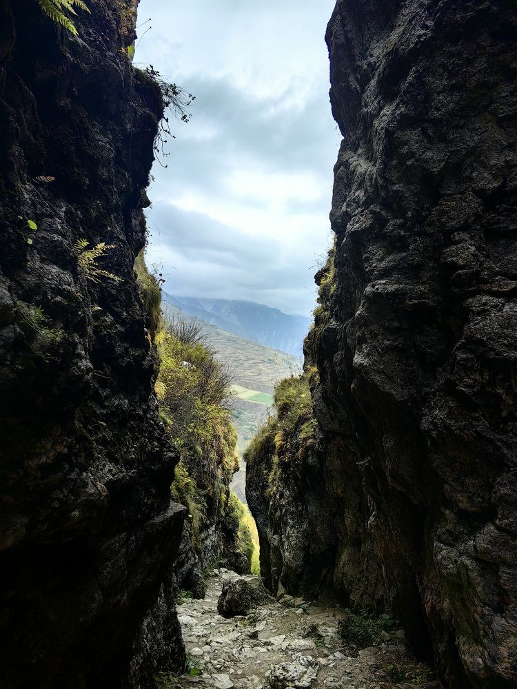 Photograph by Ярославна