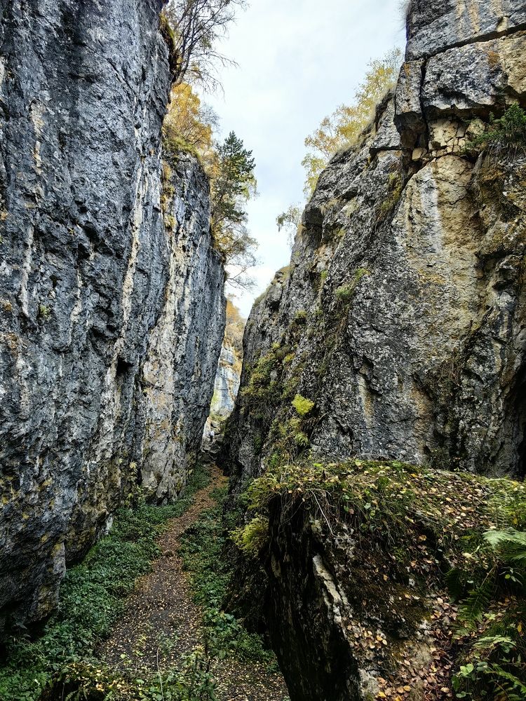 Photograph by Ярославна