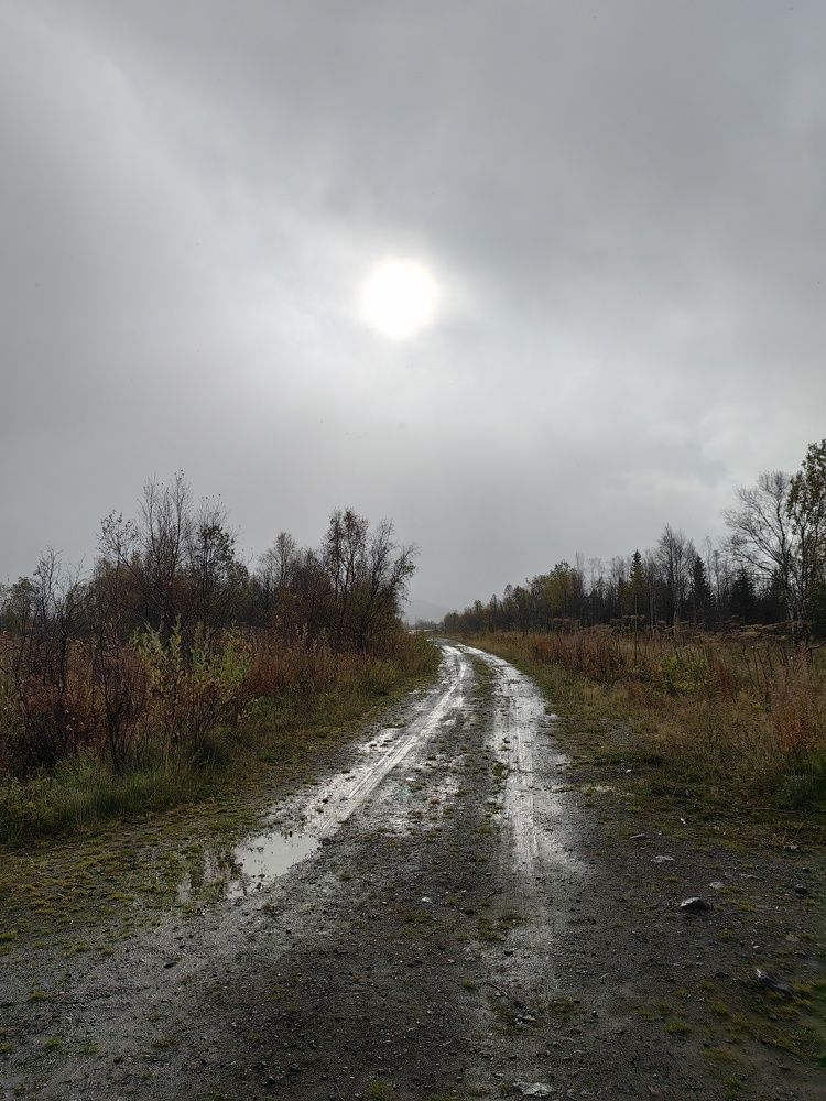 Photograph by Светлана Морева