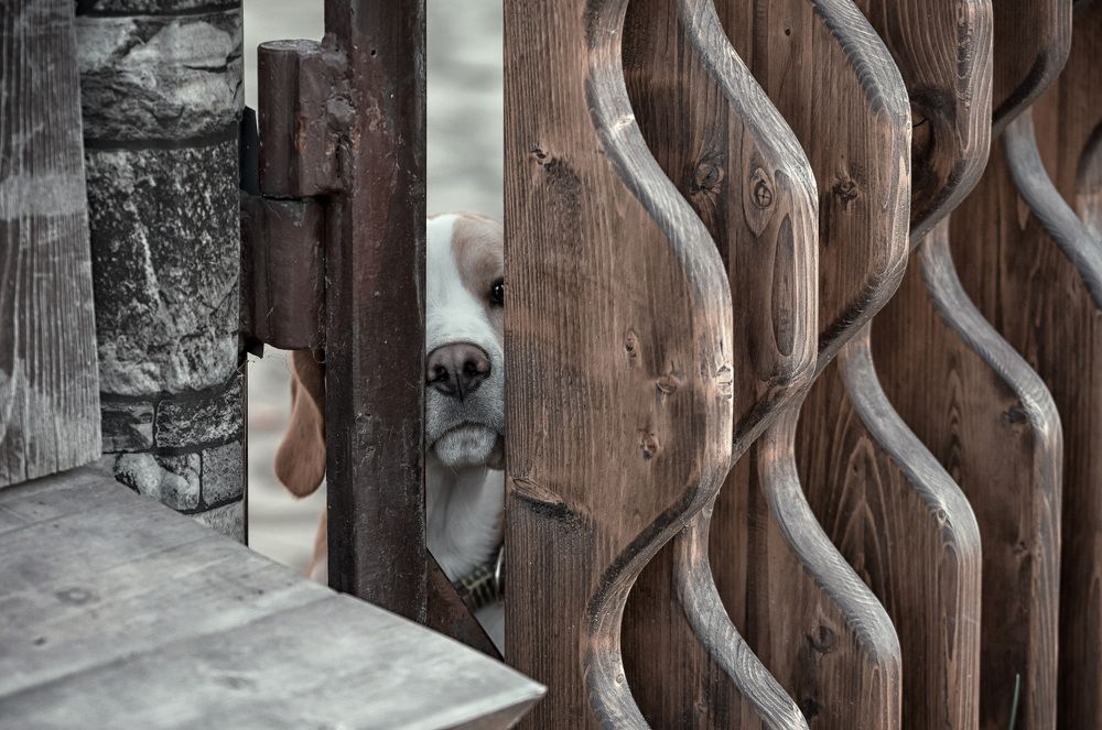 Photograph by Рагинская Ольга