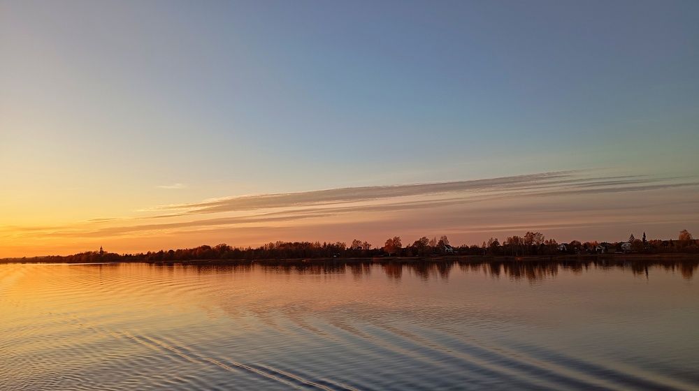 Photo #11232516