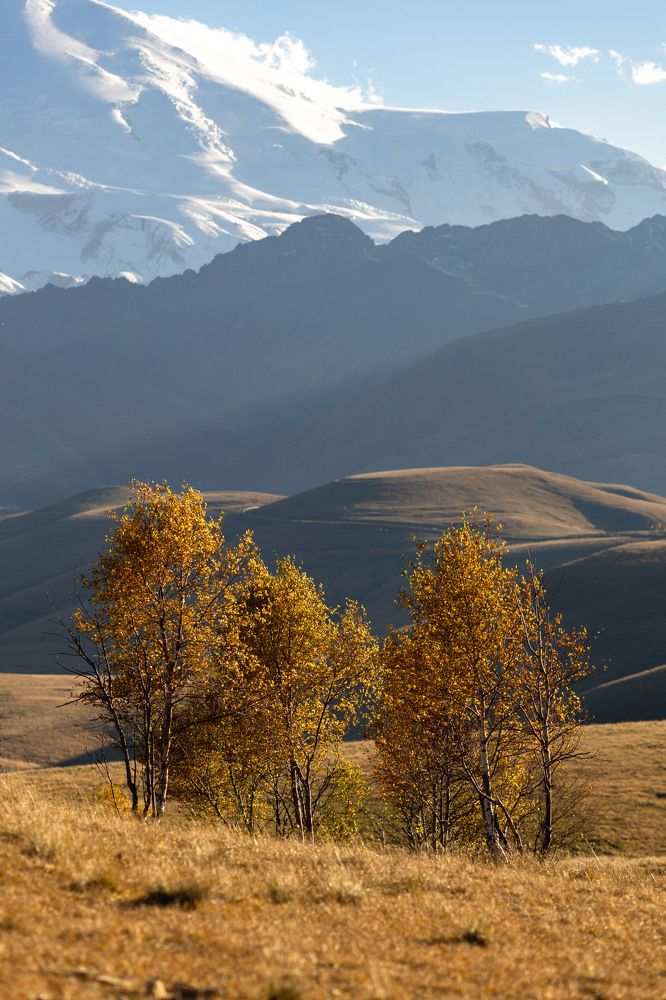 Photograph by Татьяна Тарунтаева