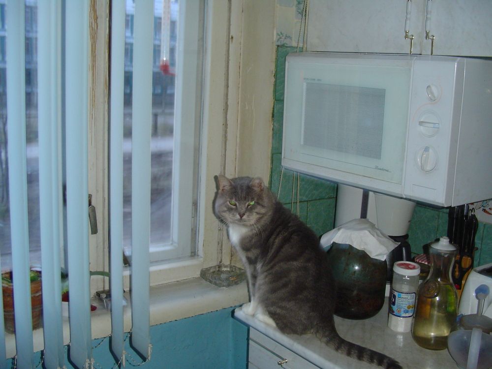 Photograph by Андрей