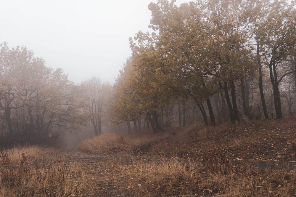 Photograph by юрий Запяткин