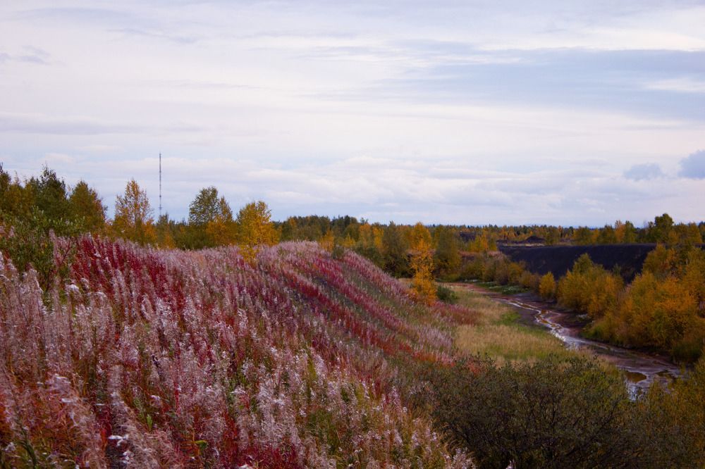 Photograph by Ксения Малявина