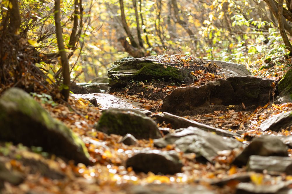 Photograph by Татьяна Тарунтаева