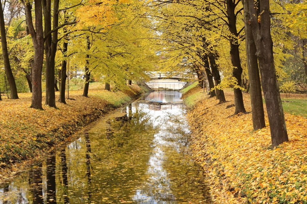 Photograph by Унку Юрий