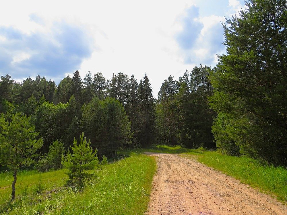 Путь в тайгу