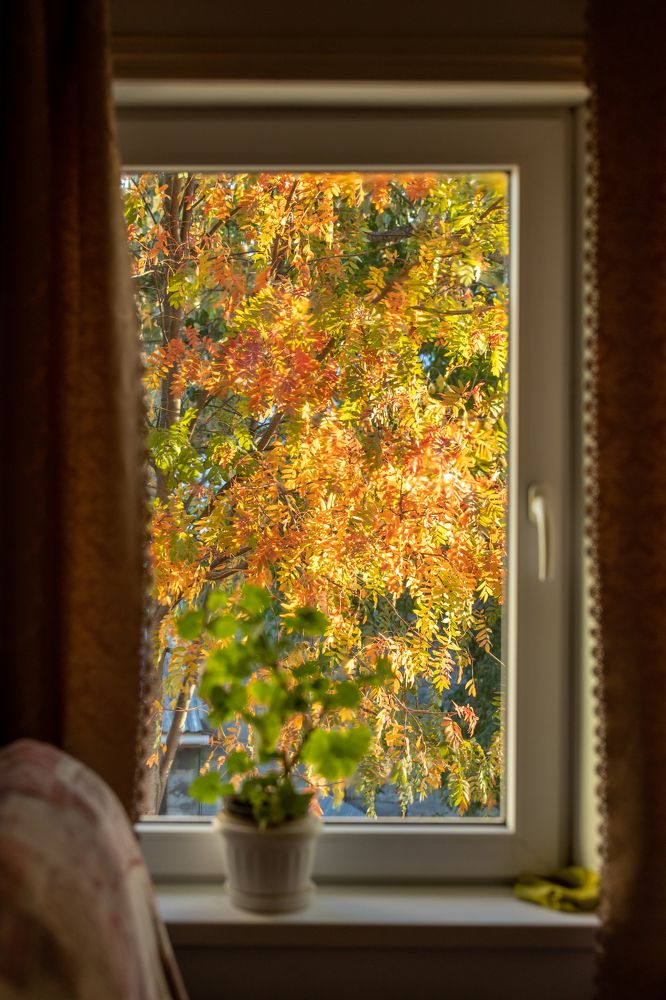 Фотография автора Alexey Bunakov