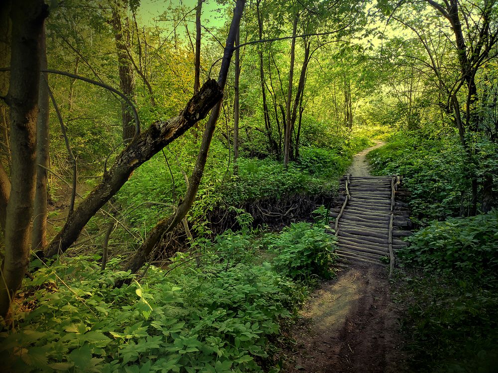 Photograph by Виктор Карпухин