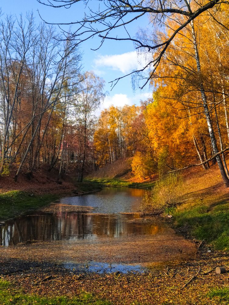 Photograph by Людмила Емельянчикова