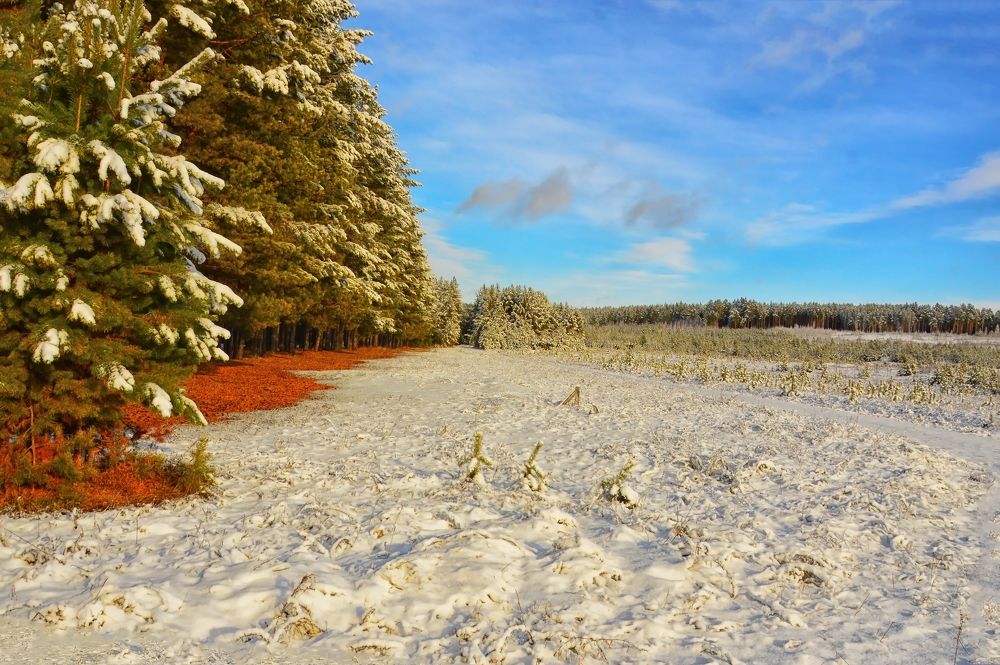 Photograph by Nadezhda