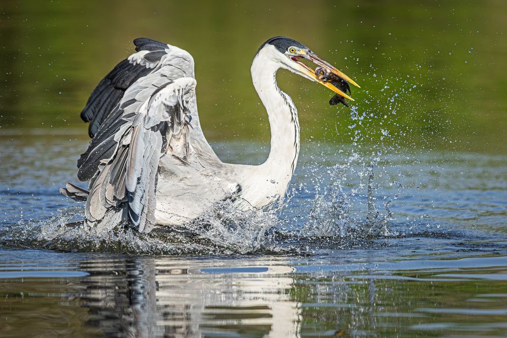 Фотография автора Paolo Barbarini