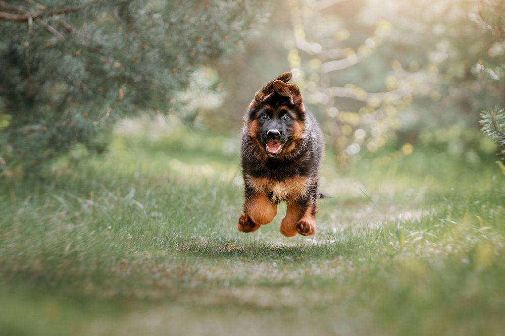 Фотография автора Оксана Серова