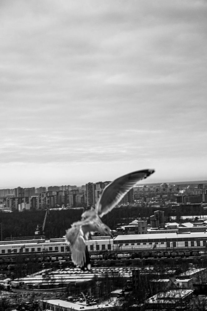 Photograph by Дарья Макаревич