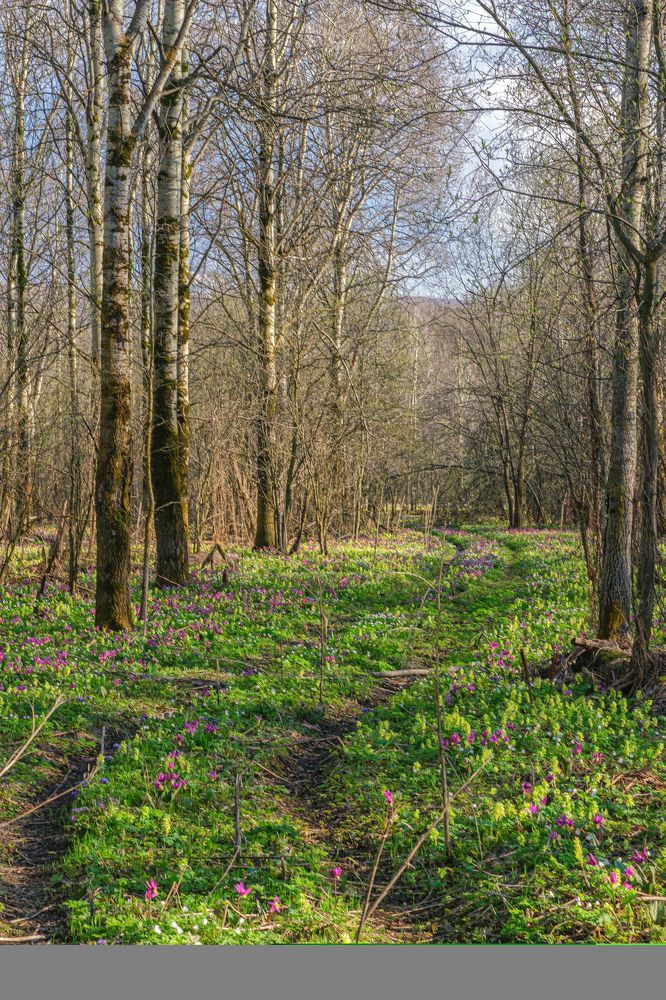 Photograph by Евгений Соколов