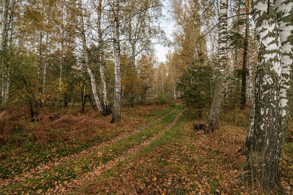 Photograph by Евгений Соколов