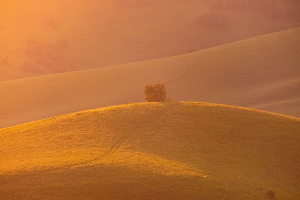 Photograph by Евгений Соколов