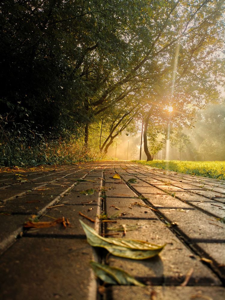 Photograph by Татьяна Тарунтаева