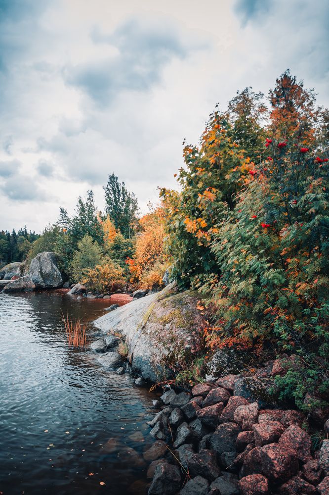 Photograph by Ольга Волкова