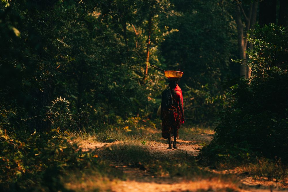 Фотография автора Arpit Dhore