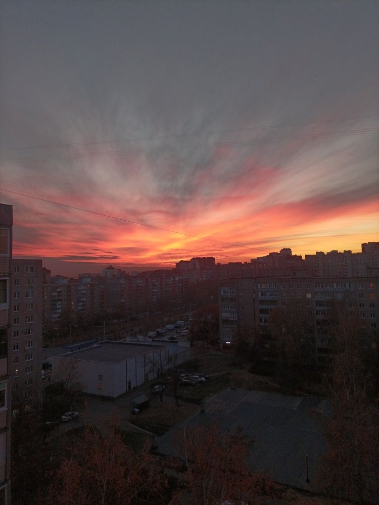Photo #11232654