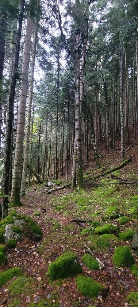 Photograph by Алексей Черкашин