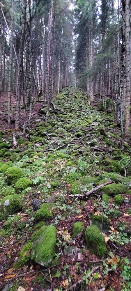 Photograph by Алексей Черкашин