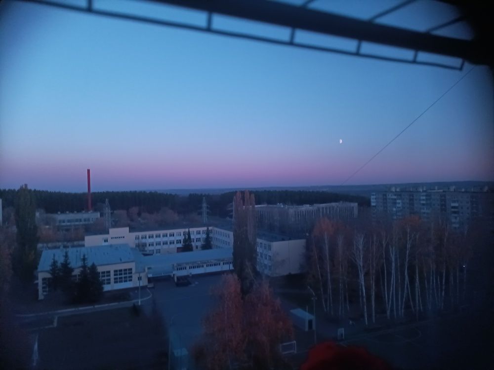 Photo #11232671