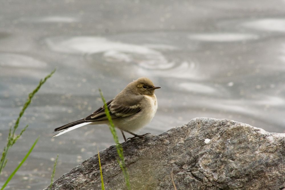 Photograph by Панюшкин Андрей