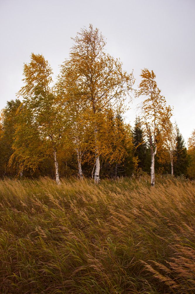 Photograph by Ксения Малявина
