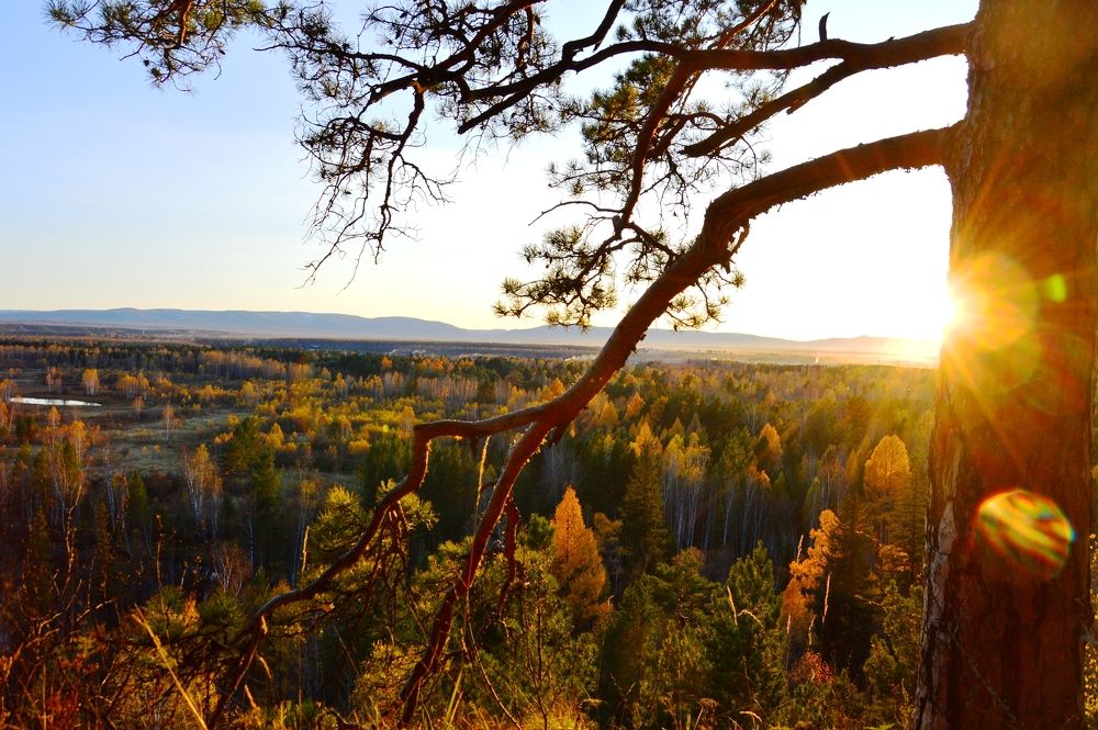 Photograph by Nadezhda