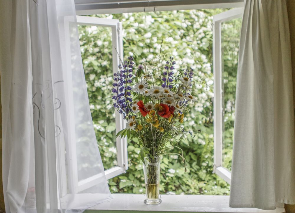 Photograph by Ivars Salmanis