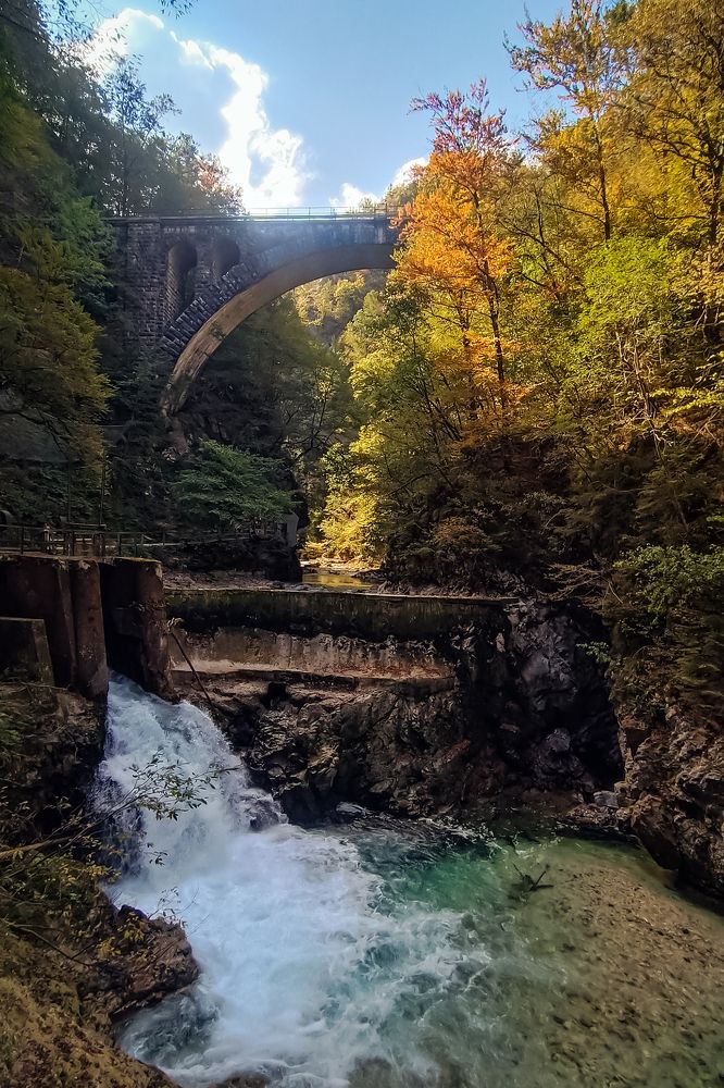 Photograph by Думнова Алёна