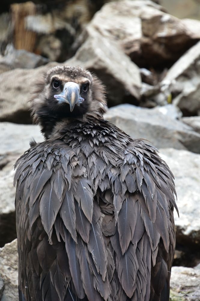 Photograph by Алексей Черкашин