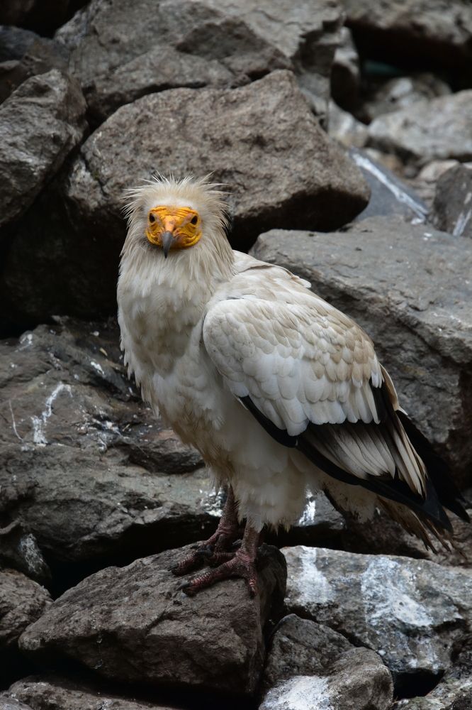 Photograph by Алексей Черкашин