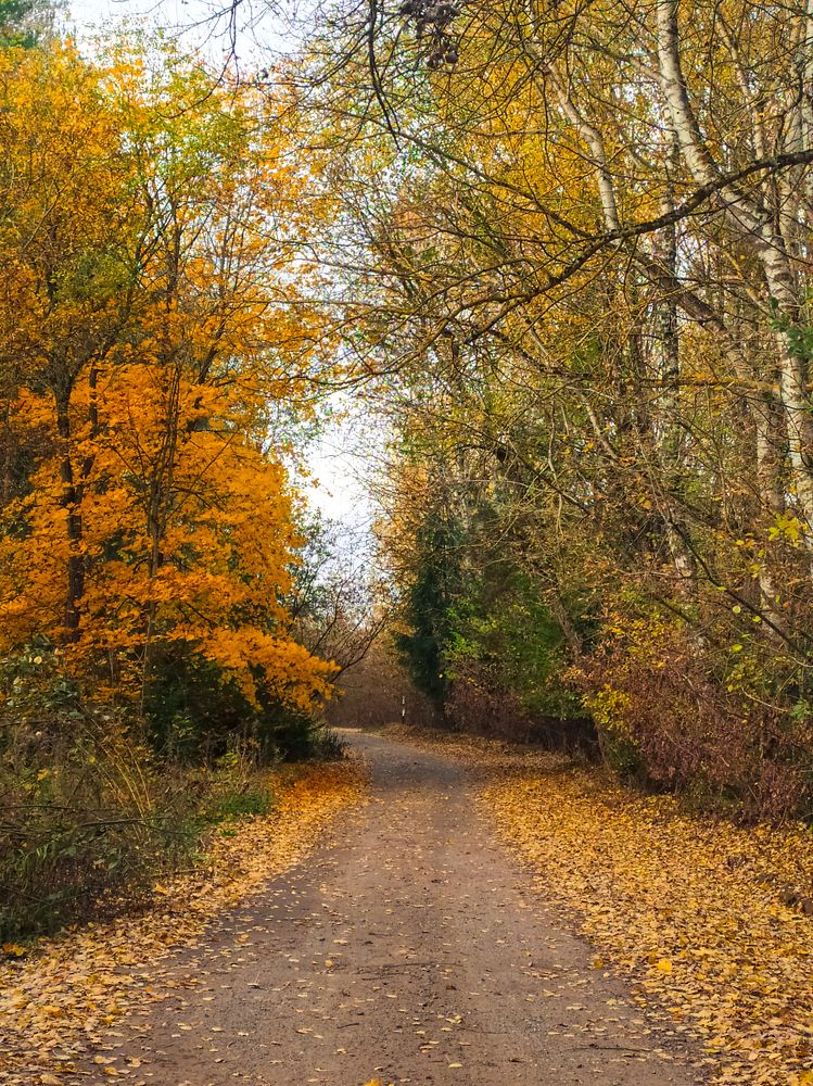 Photograph by Людмила Емельянчикова