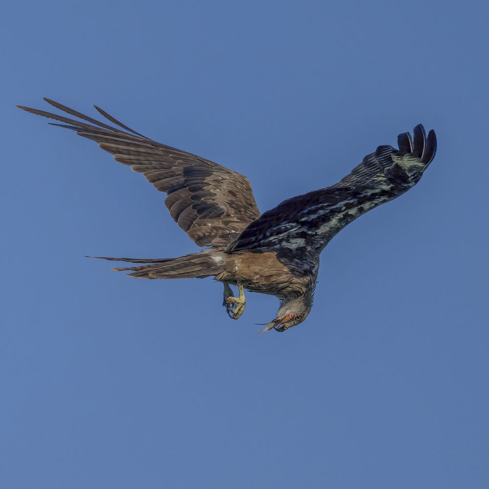 Фотография автора Mohammed sajd Abo ganem