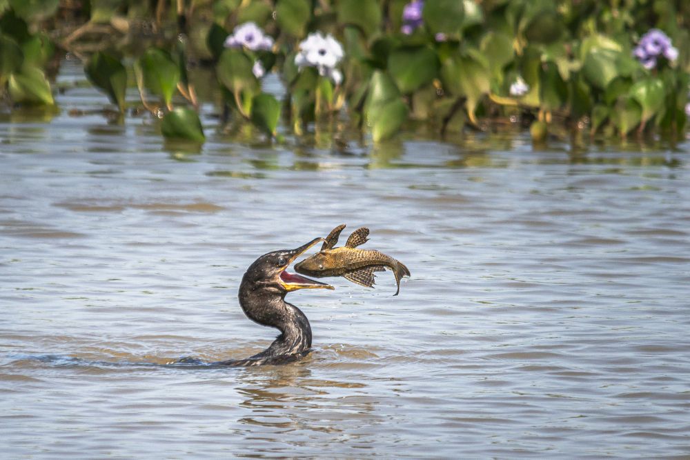 Фотография автора Paolo Barbarini