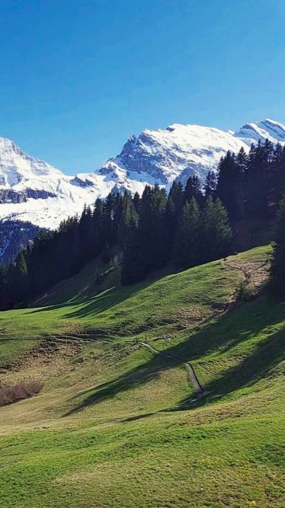 Photograph by Наталия Дроздова