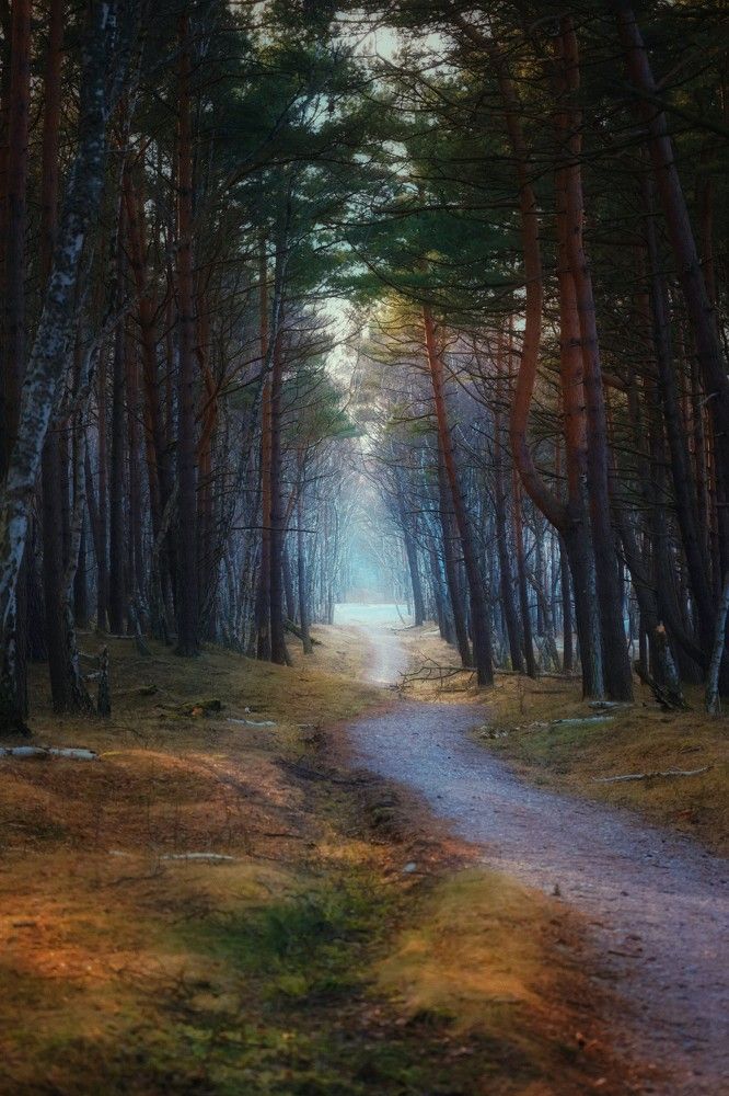 Photograph by Татьяна Максакова