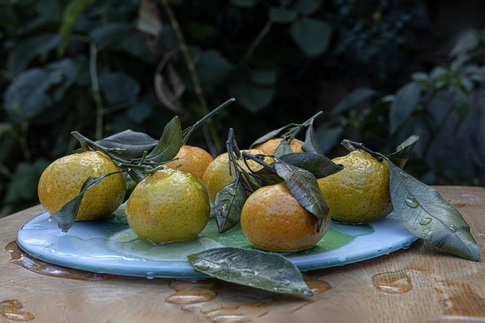 Photograph by Басыров Валерий