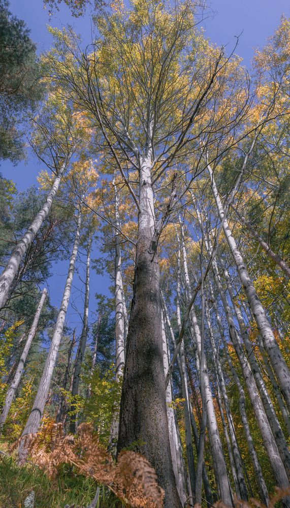 Photograph by Taтьяна Войлокова